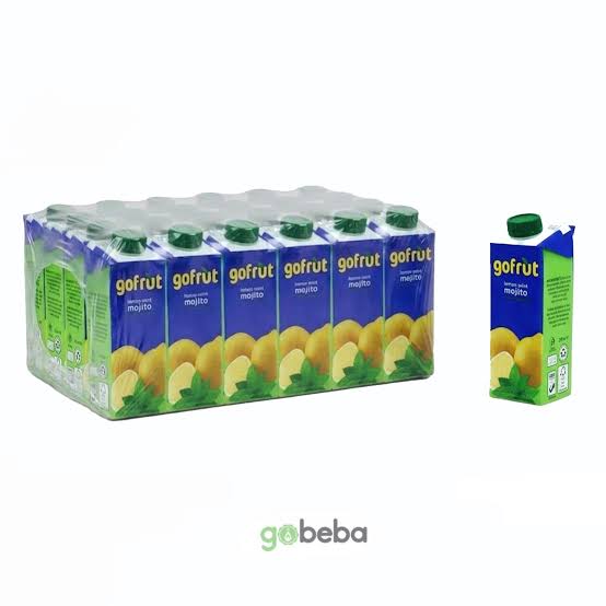EXCEL GOFRUT MOJITO 12X250ML
