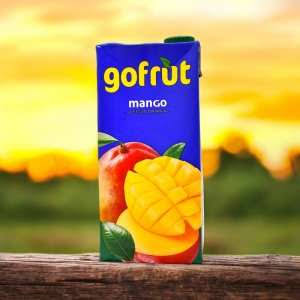 EXCEL GOFRUT MANGO 12X500ML