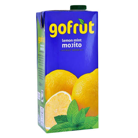 EXCEL GOFRUT MOJITO 12X500ML