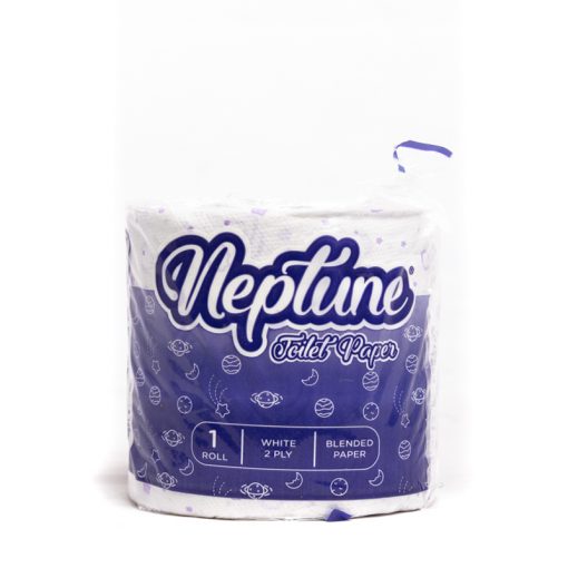Neptune-Coloured 1PACK x40 Toilet Paper (Bale)